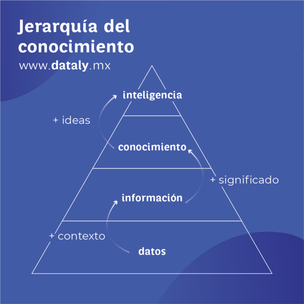 jerarquia del conocimiento